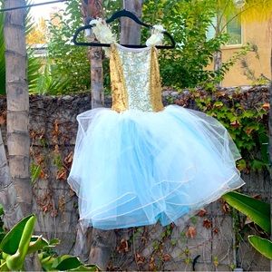 Ballet dance costume size child large